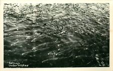 1940s School Of Salmon Vintage RPPC Postcard picture