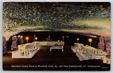 Kentucky~Snowball Dining Room @ Mammoth Cave Natl Park~Vintage Linen Postcard picture