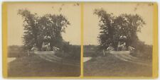 MASSACHUSETTS SV - Medfield - Dwight's Bridge - Chamberlain 1860s picture
