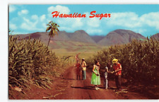 1950s~Sugar Cane Plantation MAUI~Billy Howell Postcard Hawaii Occupational -OF picture