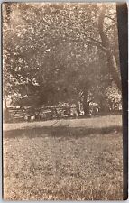 Countryside Rolling Farmland, Grazing Animals , Majestic Trees, Vintage Postcard picture