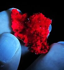 7.6g Natural Rare Red UV Light Ruby Stone Mineral Specimen picture