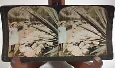 Antuque Pretty Girls Stereograph Steroview Card Vtg House Martha & Mary Bethany  picture