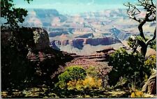 Color Postcard Of Moran Point Grand Canyon National Park Arizona picture