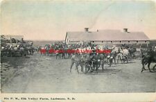 ND, Larimore, North Dakota, Elk Valley Farm, Six P M, Horses picture