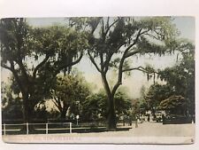 1910 Entrance City Park New Orleans Louisiana Divided Back Postcard picture