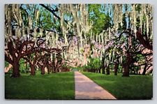 Versailles Plantation De La Ronde Oaks New Orleans LA Louisiana Vintage Postcard picture