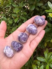 Grade A++ Lepidolite Tumbled Stones 0.75-1.25 Inch, Pick How Many picture