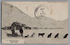 Sled Dog Team Valdez Alaska c. 1908 Snowy Landscape A14 picture
