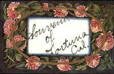 Antique Postcard Fortuna California A/s Hegone Decorative Border 1914 Cancel PC picture