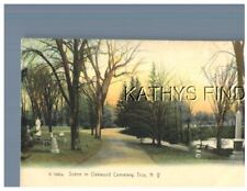NY POSTCARD S_2740 SCENE IN OAKWOOD CEMETERY, TROY NY picture