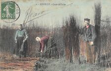 CPA 50 REMILLY WICKER CUT / AGRICULTURE picture