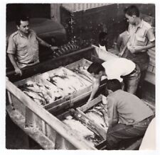 1960s Cuba Fishing is one of Their Major Industries Original Press Photo picture