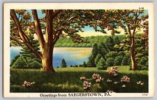Saegertown, Pennsylvania - Beautiful View of Lake - Greetings - Vintage Postcard picture