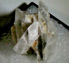 Great Danburite Crystal - Musuem Quality - (San Luis Potosi, Mexico) Y7 picture