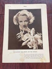 Marlene Dietrich Orchid 