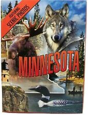 Minnesota Souvenir Playing Cards picture