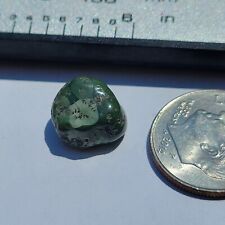 Lake Superior Michigan Greenstone Chlorastrolite 5.45 ct. picture