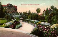 Vintage Postcard- A California Garden in February Early 1900s picture