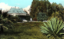 c1925 CALIFORNIA HOME AND GROUNDS YUCCA PALMS WHITE BORDER POSTCARD P616 picture