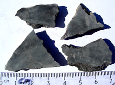 all 19.2 grams Alamo meteorite Impact Breccia from Nevada - unpolished slices picture