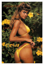 SEXY 13x19 poster Kathy Ireland swimsuit supermodel thong bikini 1980s picture