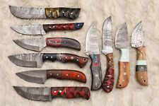LOT OF 10 PCS HANDMADE DAMASCUS STEEL BLADE MIX SKINNER  HUNTING KNIFE # H-36 picture