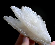 253.1g Natural Complete “Angel Wings” White Calcite Mineral Specimen/ China picture