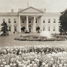Washington DC White House Stereoview c1900 Fountain Garden Car Underwood C669 picture