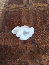 Unique White Flower-like Chalcedony mineral picture