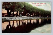 Geneva NY-New York, The Willows, Seneca Lake, Antique, Vintage Postcard picture