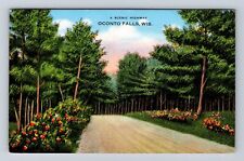 Oconto Falls WI-Wisconsin, Scenic Treelined Highway, Vintage 1940's Postcard picture