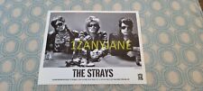 RC1701 Band 8x10 Press Photo PROMO MEDIA, THE STRAYS, TVT RECORDS picture