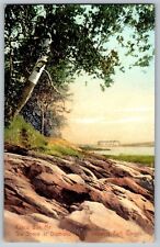 Casco Bay, Maine ME - The Shore at Diamond Island - Vintage Postcard - Unposted picture