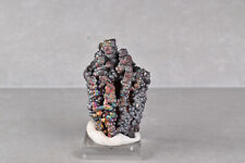 Iridescent Botryoidal Goethite from Tharsis, Spain  4.6 cm   # 17028 picture