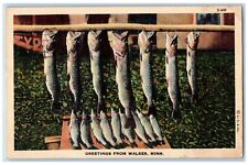 Walker Minnesota Postcard Greetings Hanging Fishes 1941 Vintage Antique Posted picture