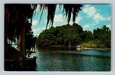 Tavares FL Scenic Dead River Waterway Moss Covered Trees Chrome Florida Postcard picture