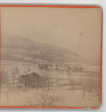 Mt. Utsayantha Stamford NY in winter Stereoview c1870 picture