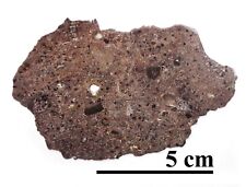 NEW Tisserlitine 001 LUNAR, feldspathic regolith breccia, complete slice 13.7 gr picture