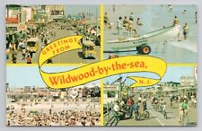 Postcard Greetings From Wildwood By The Sea New Jersey picture