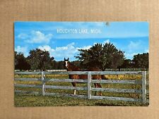 Postcard Houghton Lake Michigan Horse Pasture Scenic Greetings Vintage MI PC picture