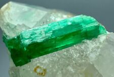 31 Carat Transparent Top Green Panjshir Emerald Crystal On Quartz Crystal @Afg picture