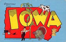 Iowa IA Greetings From State Larger Not Large Letter 14627N-CM.13 Linen Postcard picture