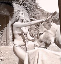 Ninta Lorraine Viking Queen 1967 Nude Camera Negative Peter Basch picture