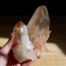 6.5in 1.5lb Pink Shadow Smoky Lemurian Seed Quartz Crystal Starbrary Cluster, Br picture