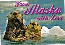 Vintage Postcard 4x6- Sea Otters, Prince William Sound, AK UnPost 1960-80s picture