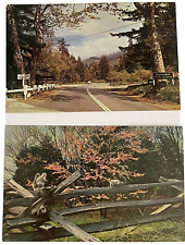 2 Vintage USA Post Cards Unused Hwy One Pfeiffer Redwood Squirrel Coast Ocean picture