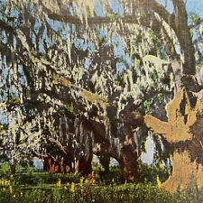 Postcard LA New Orleans The Pakenham's Oaks E.C. Kropp Linen 1930-1945 picture