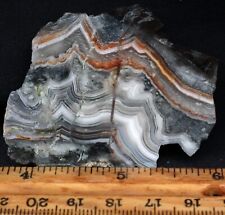 A105a ~  1.2oz Thick End Slab of Old Fashioned Lace Agate ~ Chihuahua, Mexico picture