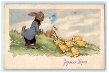 c1910's Anthropomorphic Rabbit Chicks Farm House Posted Antique Postcard picture